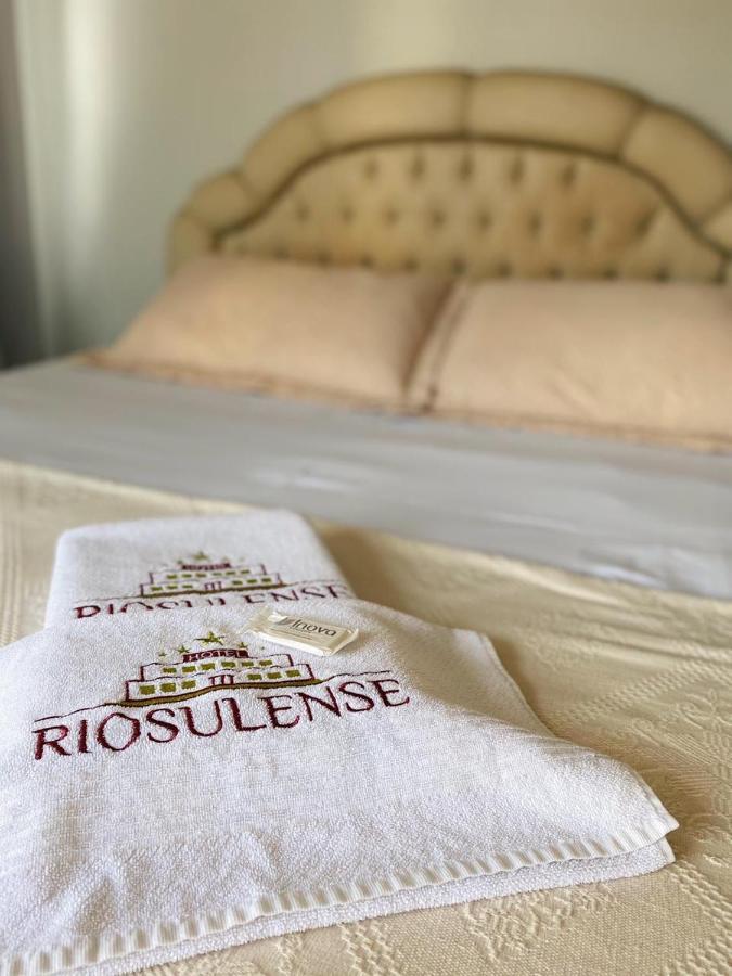 Hotel Riosulense Rio do Sul Eksteriør billede